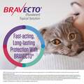 Bravecto Topical Solution for Cats