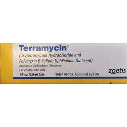 Zoetis Terramycin Ophthalmic Ointment for Dogs, Cat, and Horses with Superificial Ocular Infections, 1/8 ounce