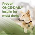 ProZinc Insulin for Dogs and Cats, 10 ml Vial