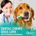 Oravet Dental Chews