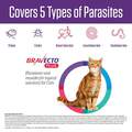 Bravecto Plus Topical Solution for Cats