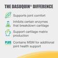 Dasuquin with MSM for Dogs