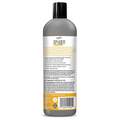 Silver Honey Rapid Skin Relief Medicated Shampoo, 16 fl oz Bottle