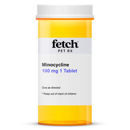 Minocycline 100 mg 1 Tablet