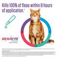 Bravecto Topical Solution for Cats