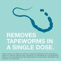 Tapeworm Dewormer for Dogs, 5 Tablets