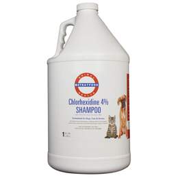 Stratford Chlorhexidine 4% Shampoo for Dogs, Cats, and Horses for Skin Infections, 1 Gallon