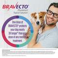 Bravecto Topical Solution for Dogs