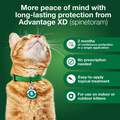 Advantage XD for Cats