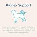 Blue Buffalo Natural Veterinary Diet KS Kidney Support Dog Food