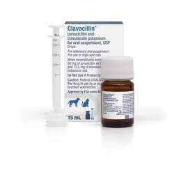 Amoxicillin and Clavulanate Potassium Oral Suspension Drops for Dogs and Cats, 15 ml