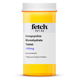 Doxycycline Monohydrate 100 mg Tablet