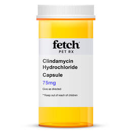 Clindamycin Hydrochloride Capsules