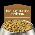 Purina Pro Plan Veterinary Diets NF Kidney Function Formula Adult Dog Food