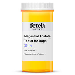 Megestrol Acetate Tablet