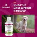 NaturVet ArthriSoothe-GOLD Joint Supplement, Level 3 Advanced Care Joint Support Liquid for Dogs and Cats, 32 oz