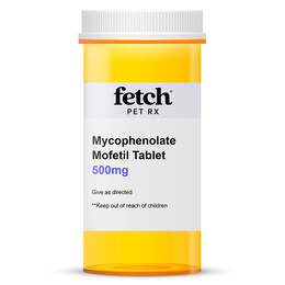 Mycophenolate Mofetil 500 mg Tablet