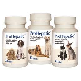 ProHepatic Liver Support Supplement