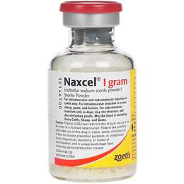 NAXCEL