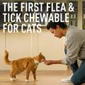 Credelio CAT Flea & Tick Chewable Tablets