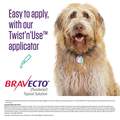 Bravecto Topical Solution for Dogs