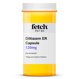 Diltiazem XR Capsule