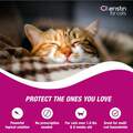 Cheristin for Cats