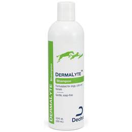 DermaLyte Shampoo