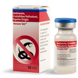 Antivenin Venom Vet Single Dose 10 ml