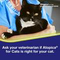 Atopica for Cats 100mg/ml