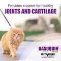 Dasuquin For Cats, 84 Capsules