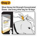 Silver Honey Rapid Ear Care Vet Strength Ear Treatment Rinse + Concentrated Doses