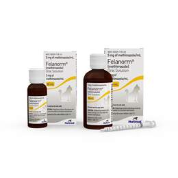 Felanorm (methimazole) 5 mg/ml Oral Solution for Cats