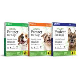 Vetality Protect for Dogs