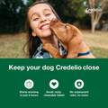 Credelio Flea & Tick Chewable Tablets for Dogs & Puppies