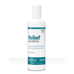 Relief Shampoo