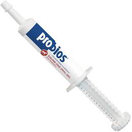 Vet Plus Probios Equine One for Horses, 1 syringe