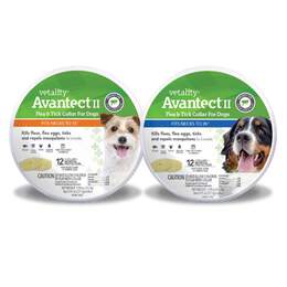 Vetality Avantect II Flea & Tick Collar for Dogs