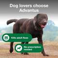 Advantus Oral Flea Treatment Soft Chews for Dogs