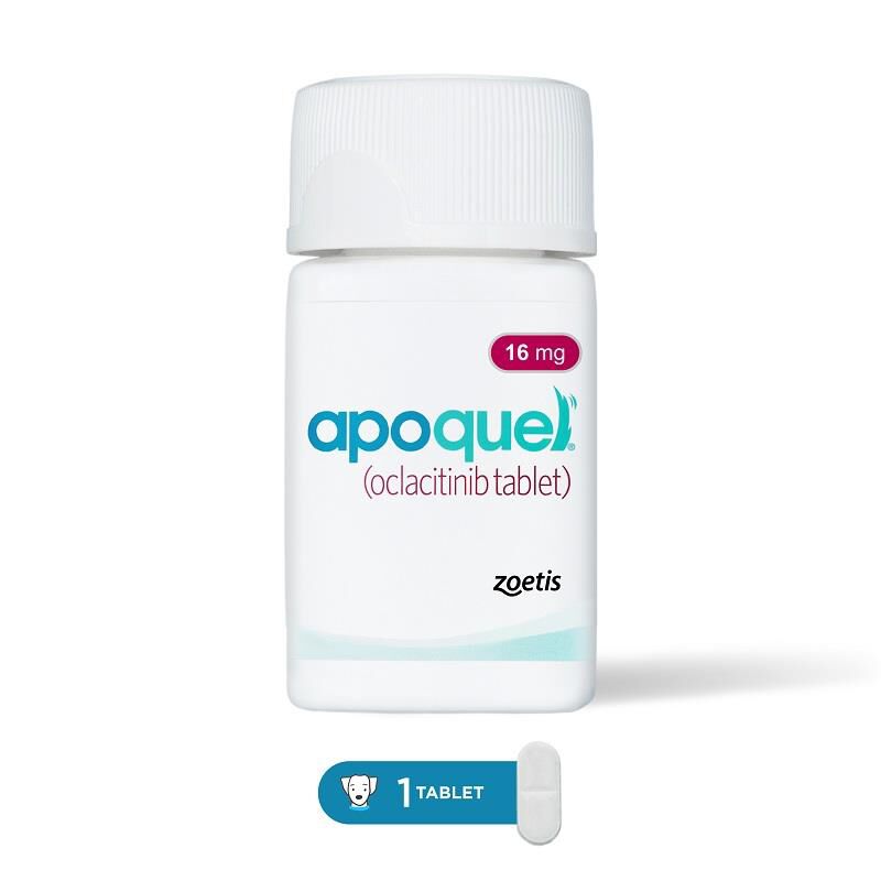 Buy Apoquel Tablet 16 mg Online Fetch Pet Rx