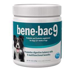 PetAg BeneBac 9 Prebiotic and Probiotic Powder Supplement for Dogs, 10 oz