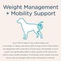 Blue Buffalo Natural Veterinary Diet W+M Weight Management + Mobility Support Dog Food