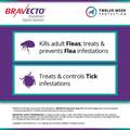 Bravecto Topical Solution for Dogs