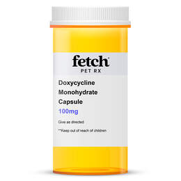 Doxycycline Monohydrate 100mg Capsule