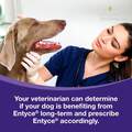 Entyce 30 mg/ml Capromorelin Oral Solution for Dogs