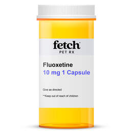 Fluoxetine Capsule