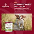 NaturVet Cranberry Relief Healthy Urinary Tract Plus Echinacea Soft Chews for Dogs