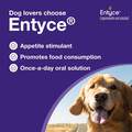 Entyce 30 mg/ml Capromorelin Oral Solution for Dogs