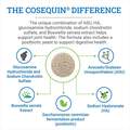 Cosequin ASU Functional Tablets for Horses, 240 ct