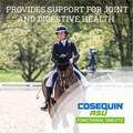 Cosequin ASU Functional Tablets for Horses, 240 ct